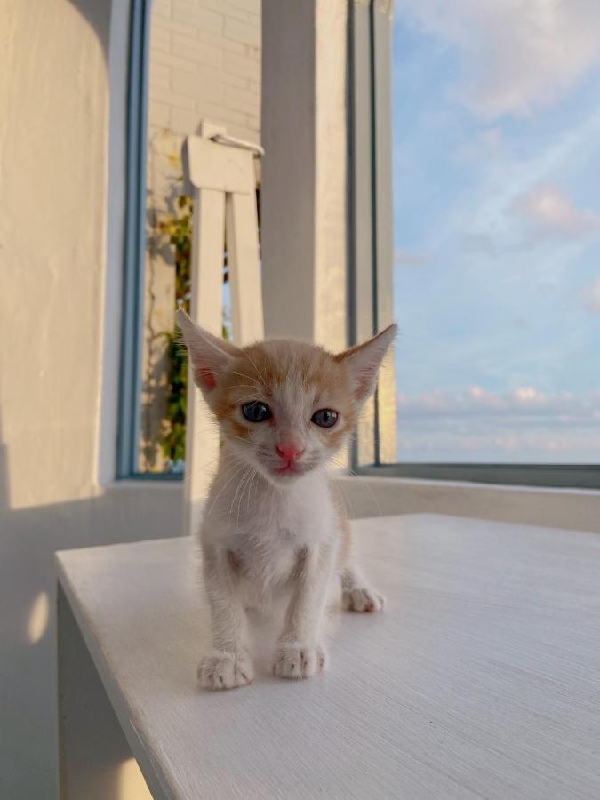 Kenting Met Hi Inn Cape Eluanbi Luaran gambar
